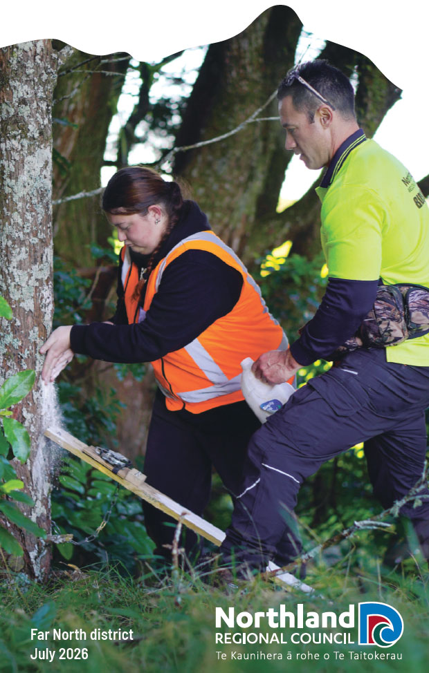 People setting pest trap on a tree.