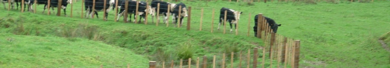 Fenced waterway.