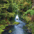 The draft Freshwater Plan Change