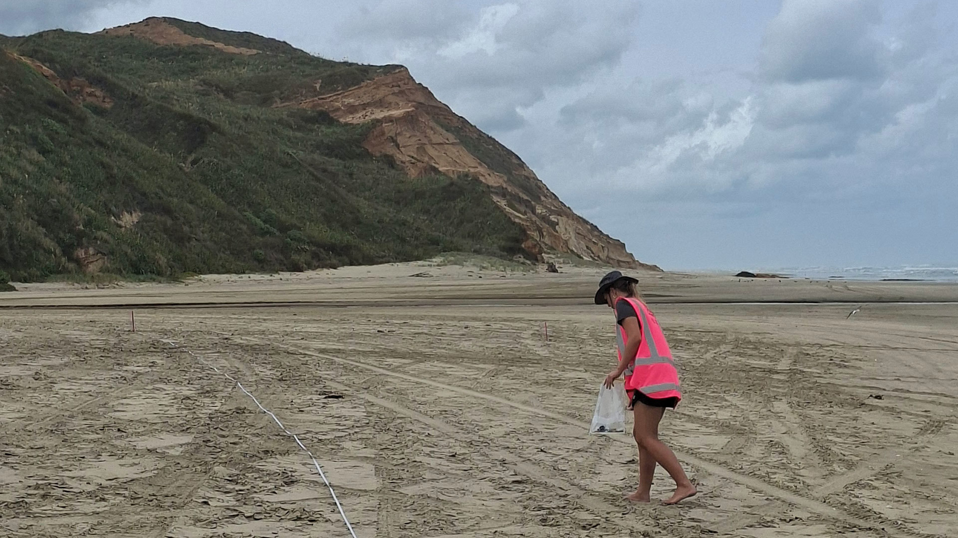 Woman wearing pink hi-vis vest and sunhat walks near a long tape line on a beach.