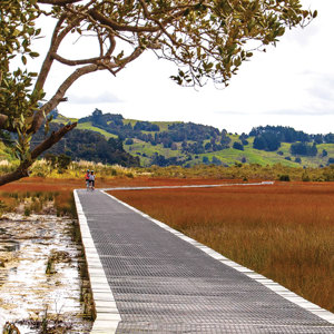 Twin Coast Cycle Trail  1 