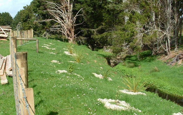 Riparian fencing and plantings. Riparian fencing and plantings.