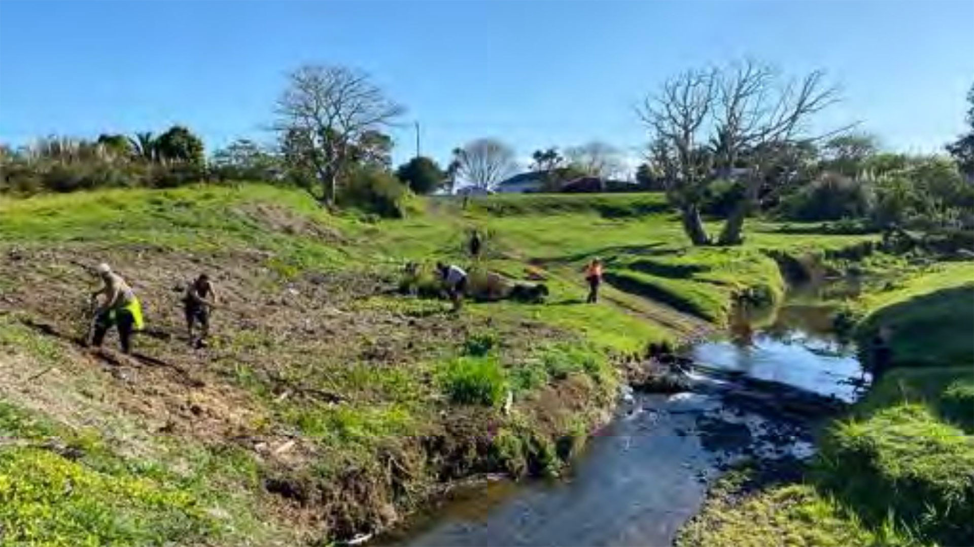 People planting on the banks of a waterway.