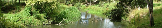 Northland river.