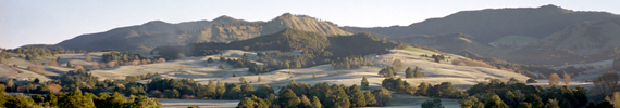 Northland farm in frost.