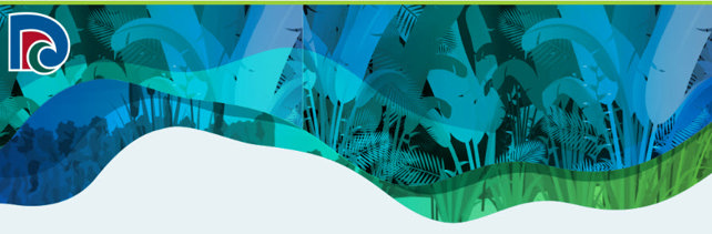 Decorative graphic.