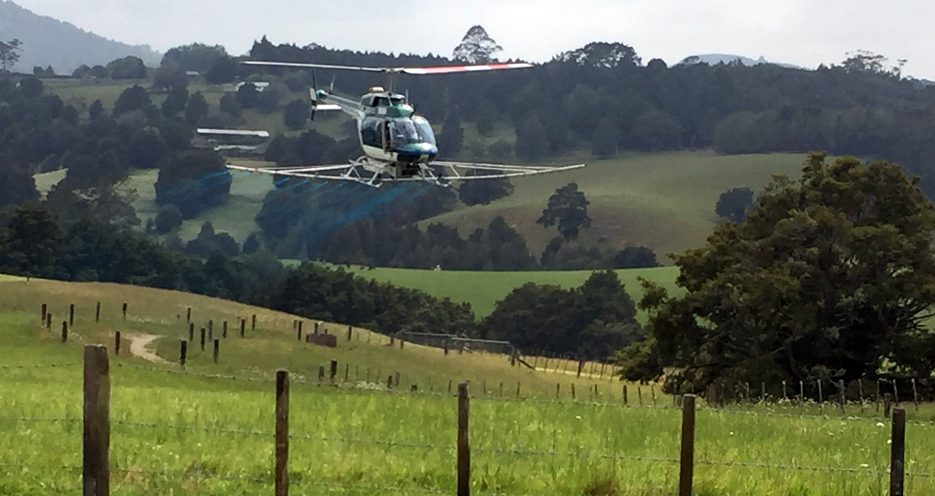 A small helicopter flying over pasture while releasing agrichemicals from a spray apparatus below.