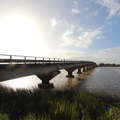 Regional Transport Procurement Strategy 2024-2027