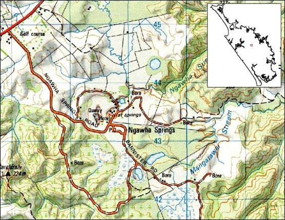 Map of Ngawha geothermal field.