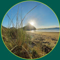 2024: Te ora o te Taiao ā-Takutai Moana | State of Environment Coastal