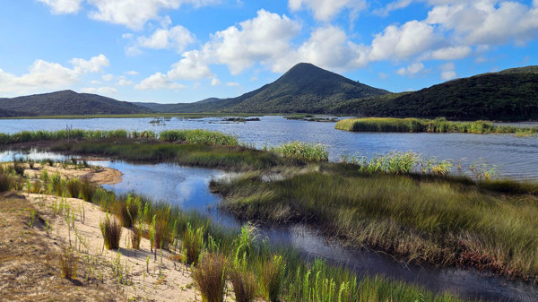 Waitahora Lagoon Far North