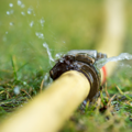 Farm Dairy Effluent  - storage and disposal