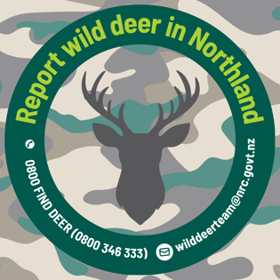 Sticker graphic report wild deer in Northland with contact information 0800346333 or wilddeerteam@nrc.govt.nz