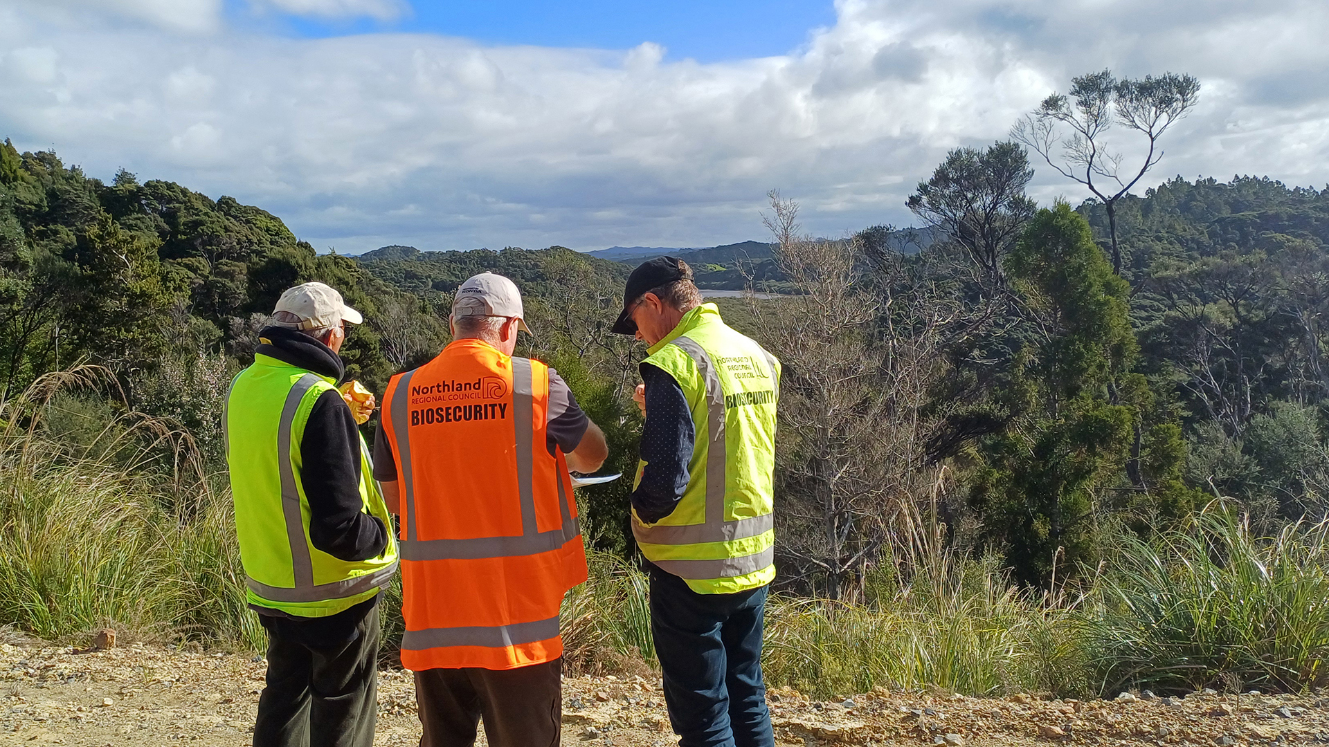 Three men wearing hi-vis vests discuss a map with forest in the background.