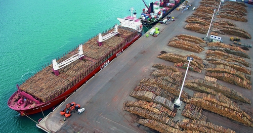 Ship carrying logs at Northport (Photo: Northport). 
