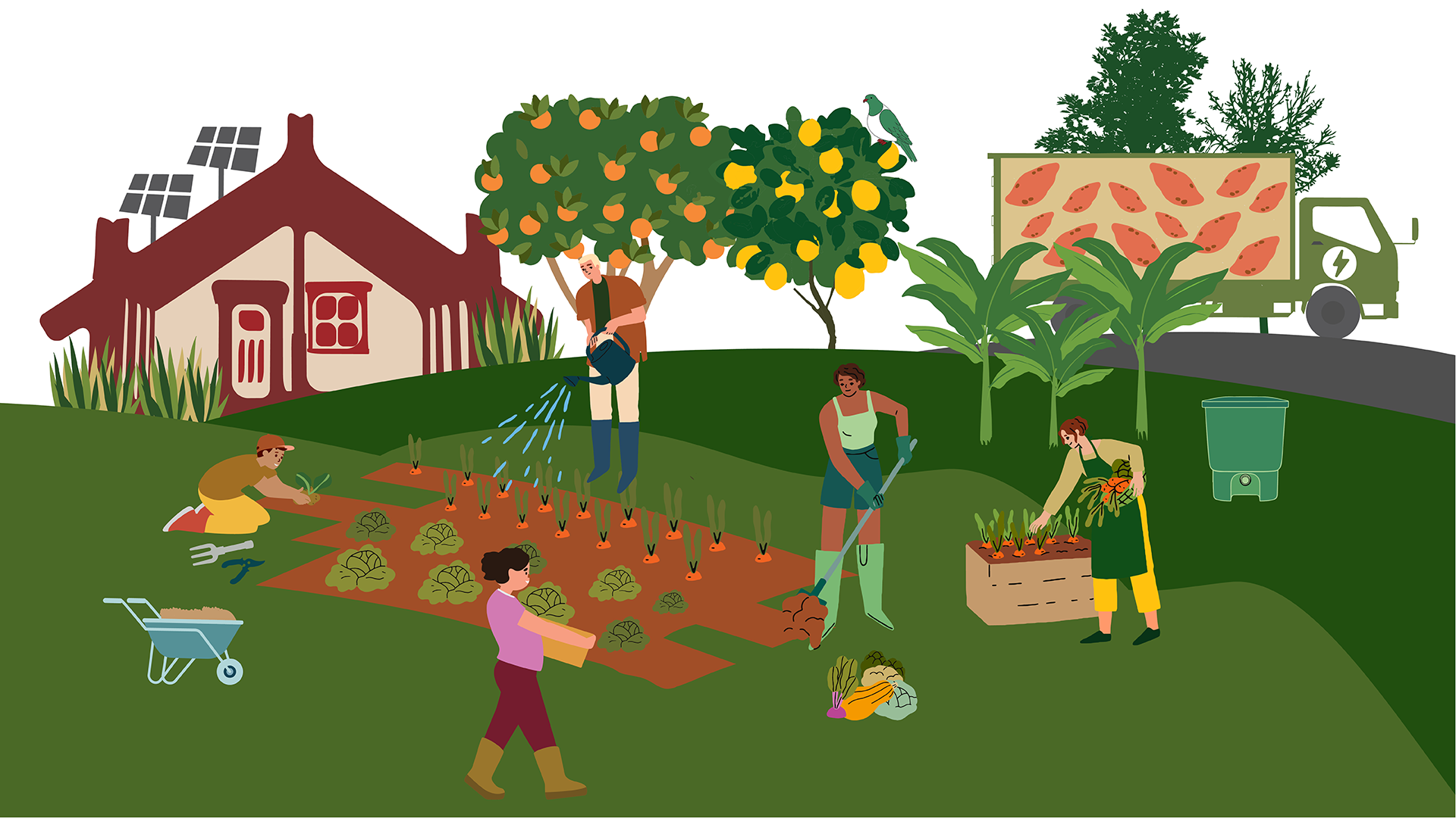 A decorative graphic of food gardens.