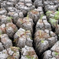 Northland’s climate issues and emissions