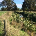 Freshwater farm plans for lifestyle blocks