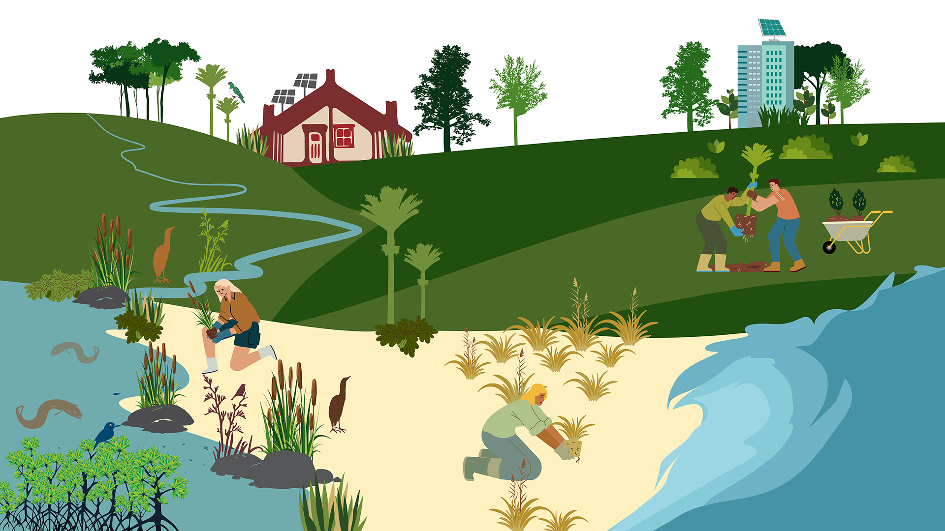 Decorative graphic trees, reeds, plantings near waterways.