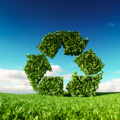 Recycling and rubbish