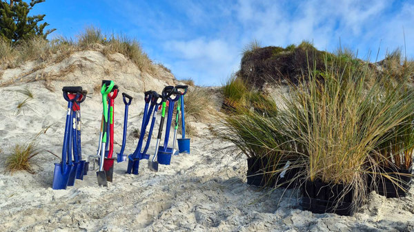 885883 2026 Coastcare Planting Day Ruakaka 12 169
