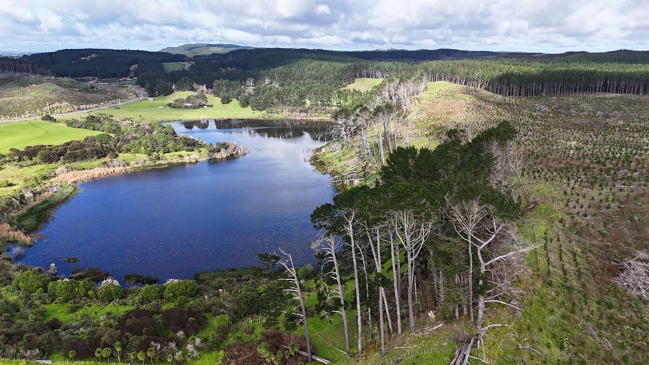 Aerial view of Rototuna  showing where pine felling work has started 