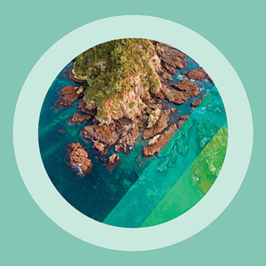 ED Site Teaser