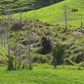 Farmers and lifestyle block owners