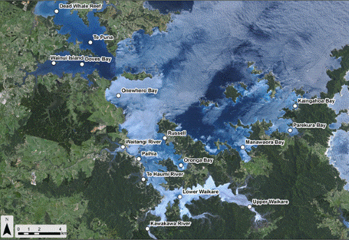 Description: Figure 91: Location of sediment sampling sites in Bay of Islands in 2010.