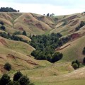 Soil Conservation: past, present and future