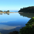 Doubtless Bay CCCV Resources