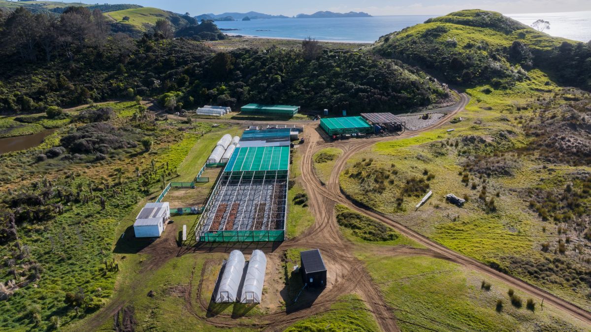 Aerial view of a coastal nursery with greenhouses and dirt roads surrounded by green hills and overlooking the sea.