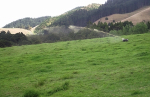 Low application rate irrigator in action. Low application rate irrigator in action.
