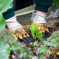 Te Tai Tokerau Resilience Action Plan and Approach
