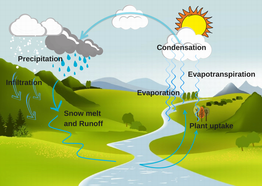 Water cycle. Water cycle.