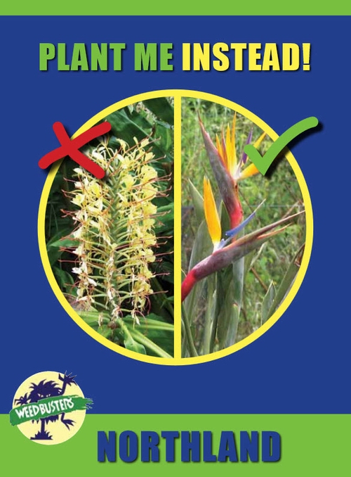 Plant Me Instead booklet cover. Plant Me Instead booklet cover.