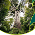 Biosecurity Operational Reports