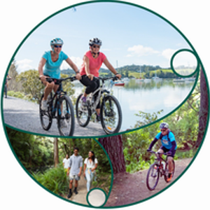 Walking Cycling Strategy cover image  200  png