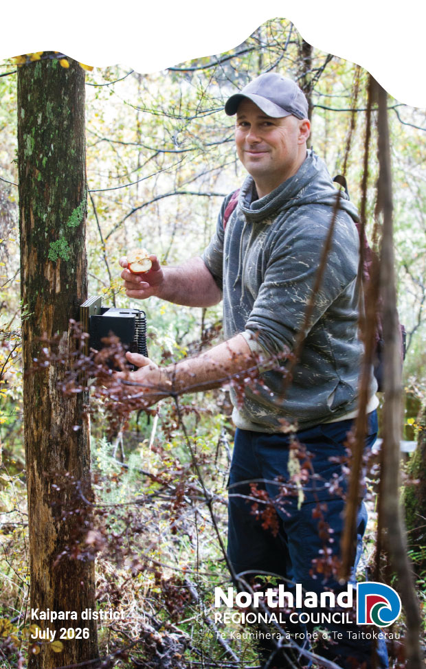 Man setting a pest trap on a tree.