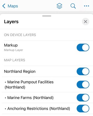 Step 4e - Using the App.