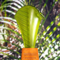 2020 Award winners