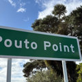 Wild deer free Pōuto