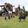 Greta and Craig Harman Whananaki Charolais : Case study