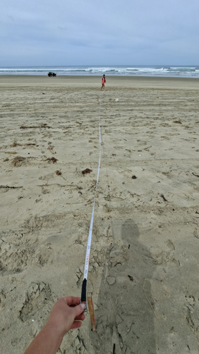 Setting up the transect line
