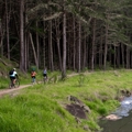 Walking and cycling