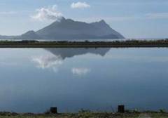 Ruakaka oxidation pond.